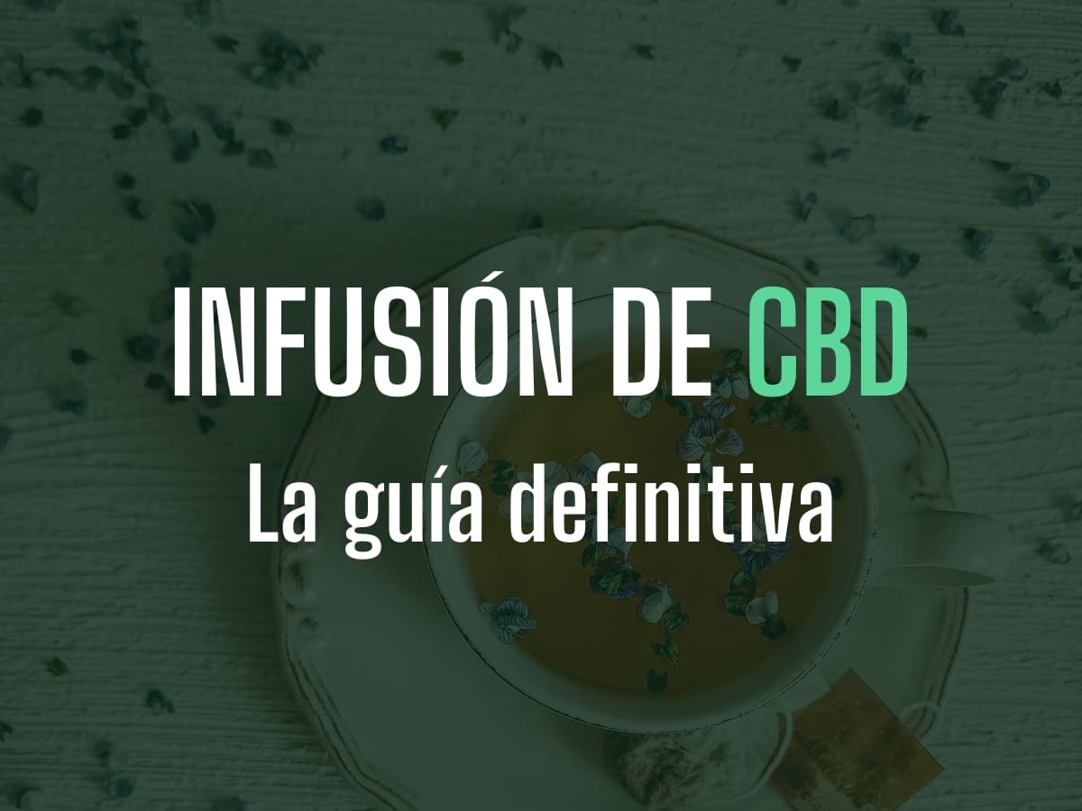 infusión de cbd guia