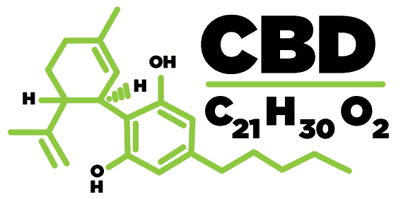 cbd y sistema inmunológico